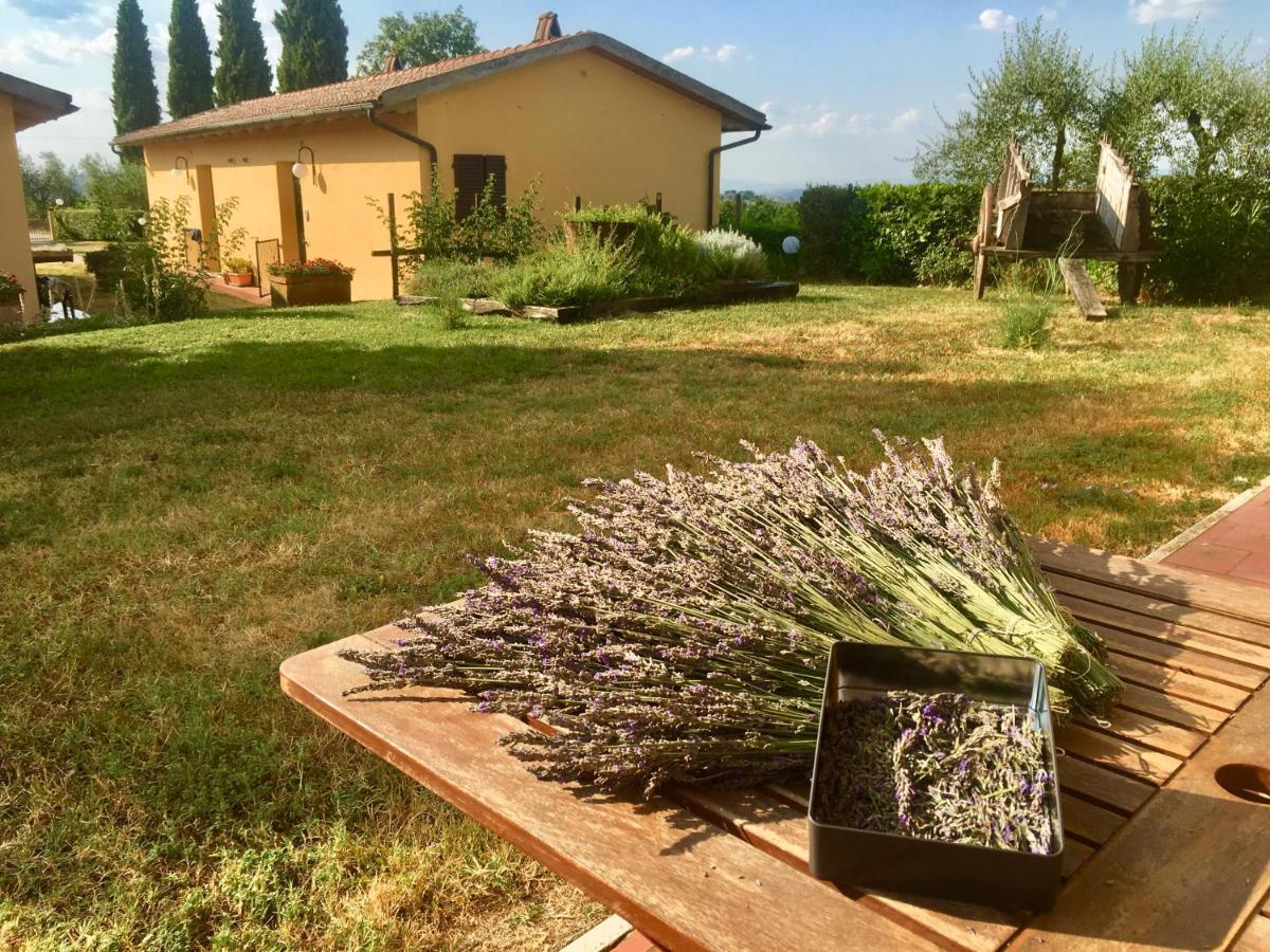Agriturismo Metina appartamenti con piscina Acquaviva  Esterno foto