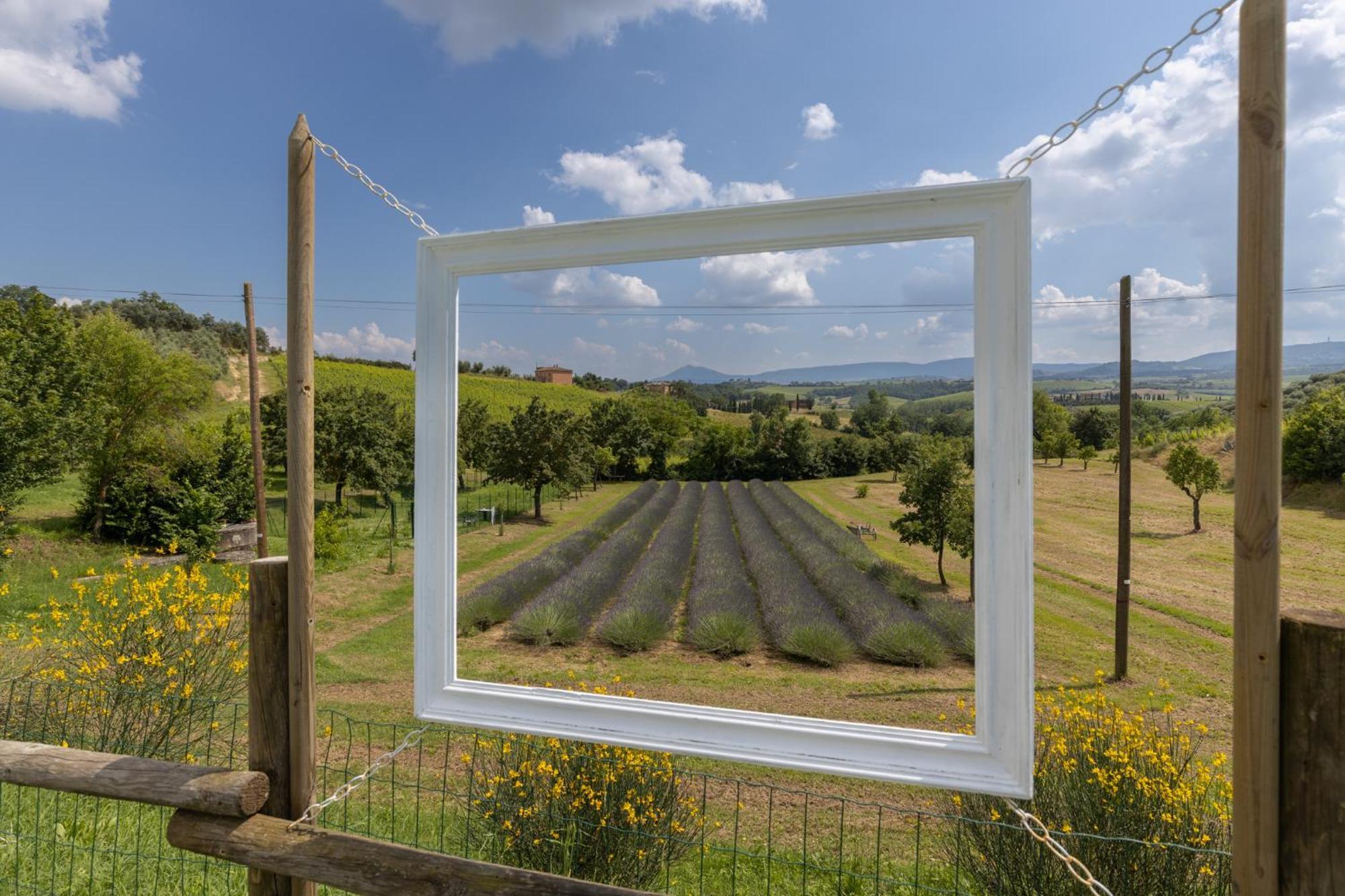 Agriturismo Metina appartamenti con piscina Acquaviva  Esterno foto
